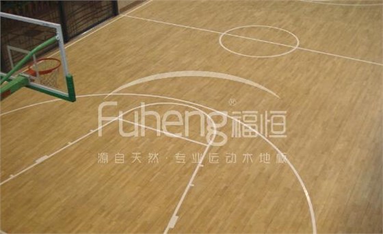 枫木运动木地板