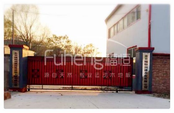 图片12