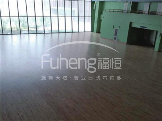内蒙古包头稀土第二中学体育馆