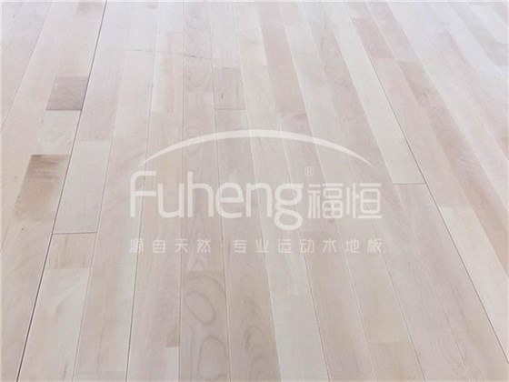 西红门体育公园3000平米体育馆