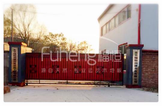 图片12