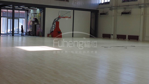 GM5篮球场4
