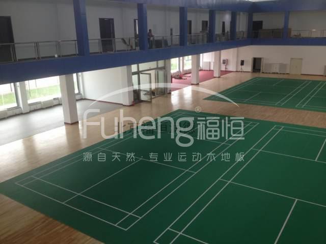 内蒙古准格尔第二露天煤矿体育馆