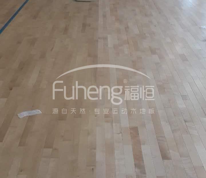 江苏华兰药用新材料股份有限公司篮球馆